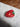 Florida Strawberry Small Hair Clip