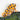 Blue-Ringed Octopus Hair Claw Hair Clip