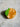 Florida Orange Hair Clip