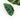 Tropical Monstera Leaf Hair Claw Clip