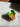 Florida Orange Hair Clip